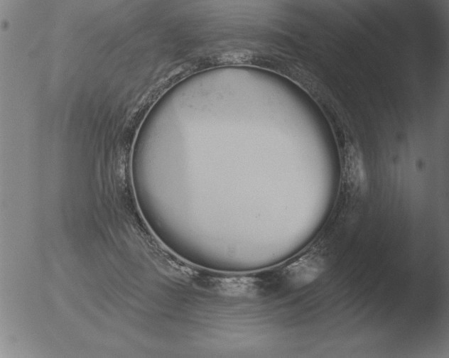 X0000051920363200507082101