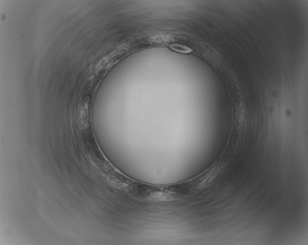 X0000051920364200507082101