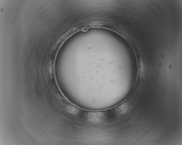 X0000051920367200507082101