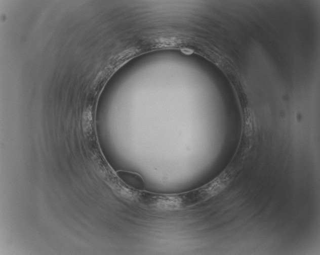 X0000051920369200507082101