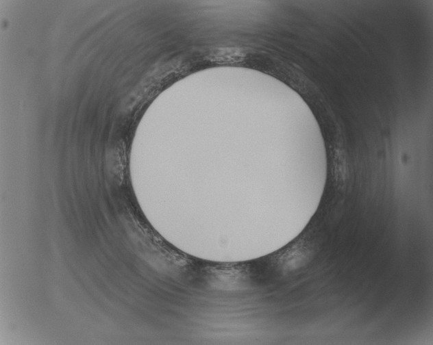 X0000051920370200507082101