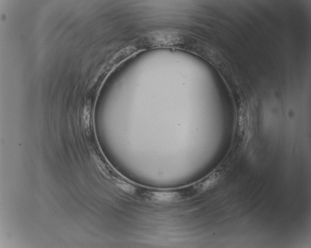 X0000051920371200507082101