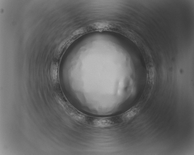 X0000051920372200507082101