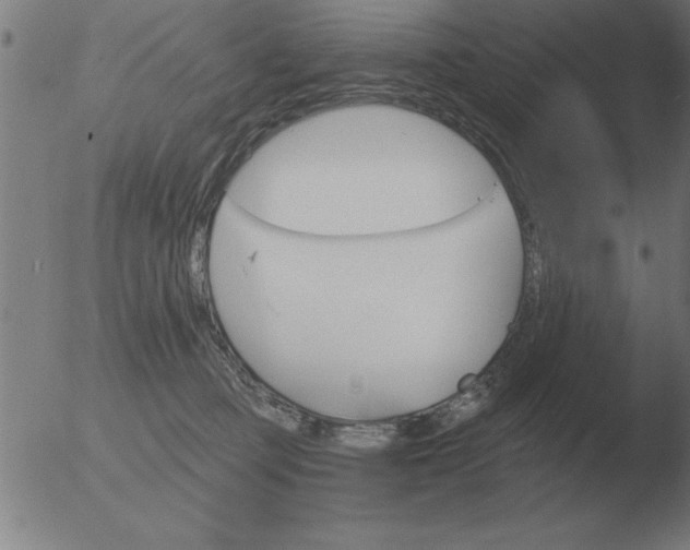 X0000051920373200507082101