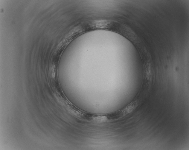 X0000051920374200507082101