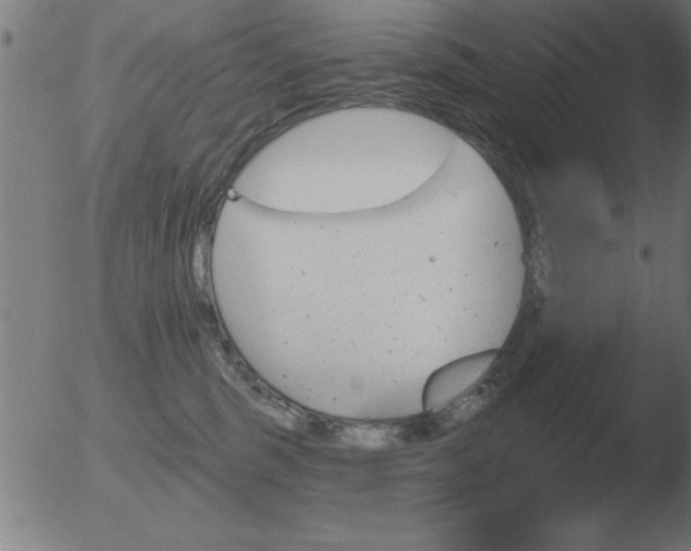 X0000051920375200507082101