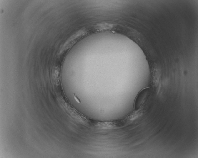 X0000051920378200507082101