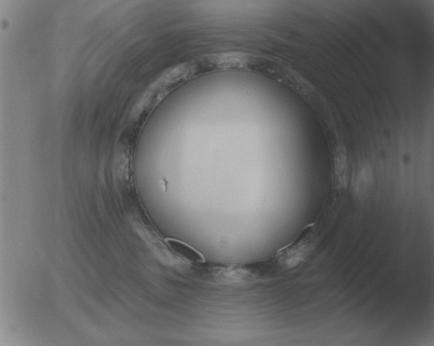 X0000051920379200507082101