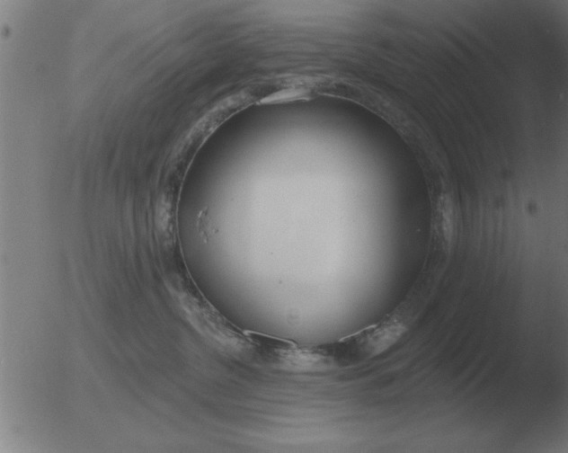 X0000051920380200507082101