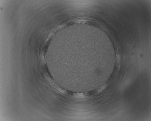 X0000051920381200507082101