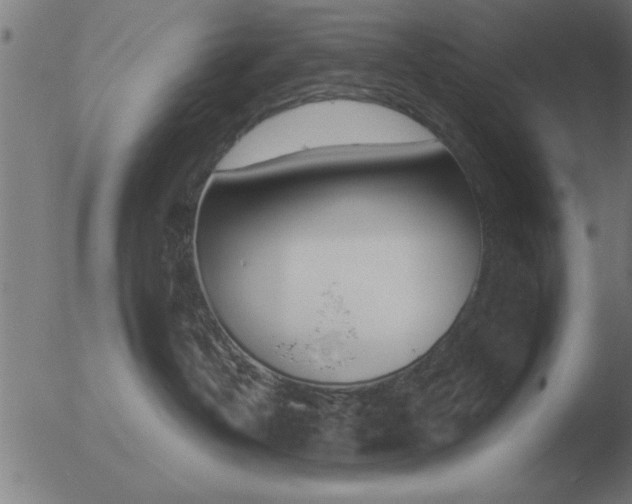 X0000051920382200507082101