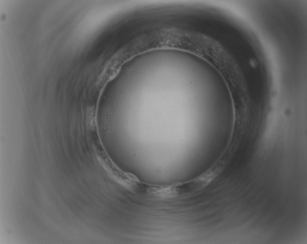 X0000051920383200507082101