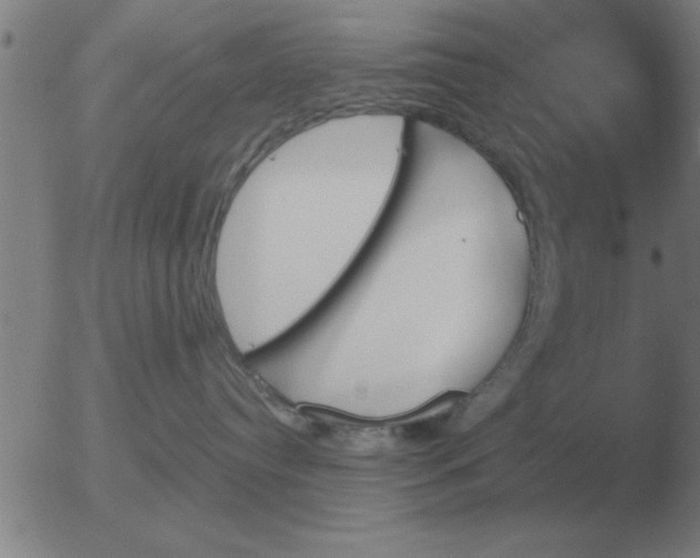 X0000051920384200507082101