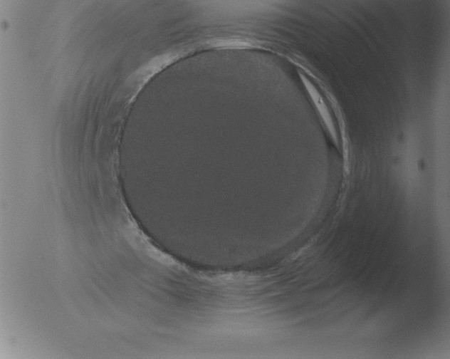 X0000051920385200507082100