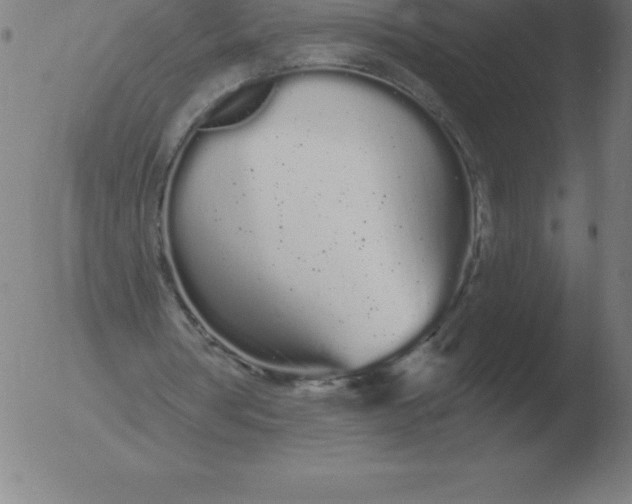 X0000051920386200507082100