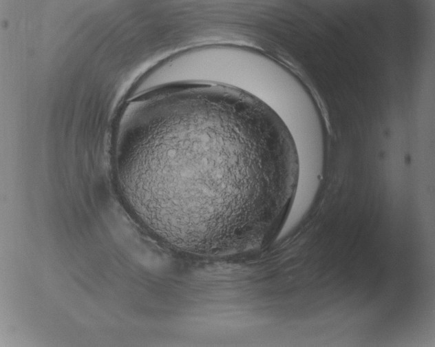 X0000051920387200507082100