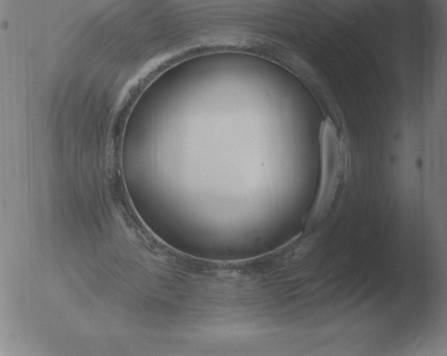 X0000051920388200507082100