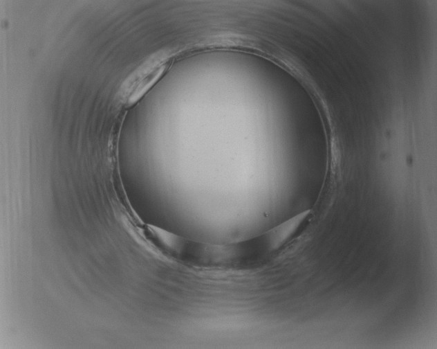 X0000051920389200507082100