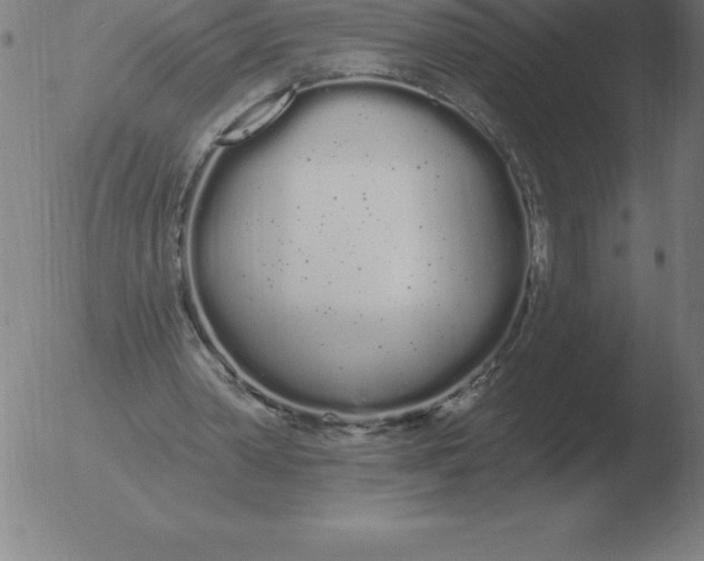 X0000051920390200507082100