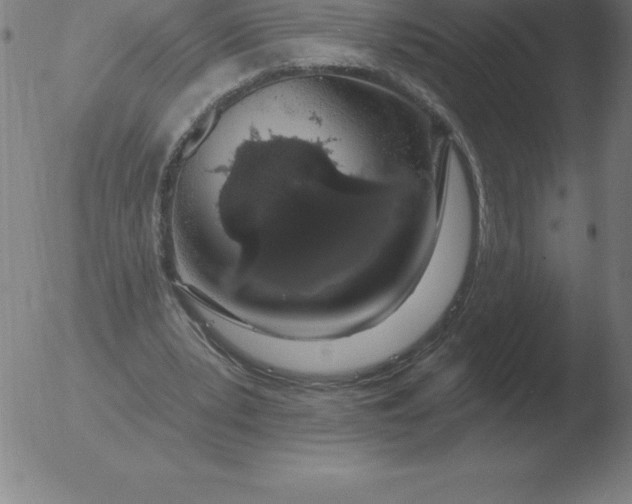 X0000051920391200507082100