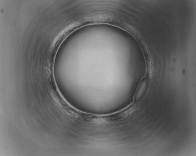 X0000051920392200507082100