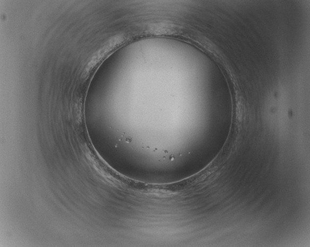 X0000051920393200507082100