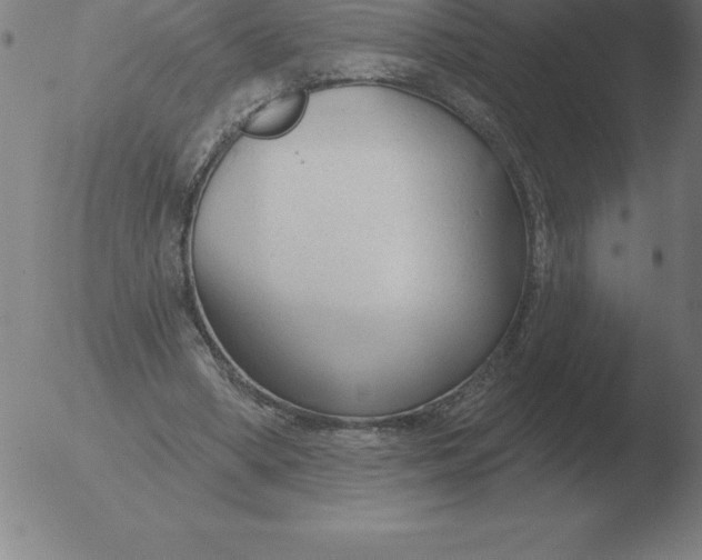 X0000051920394200507082100