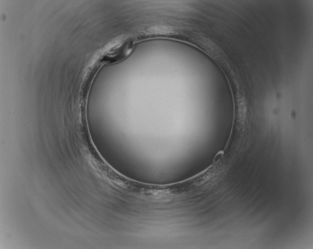 X0000051920395200507082100