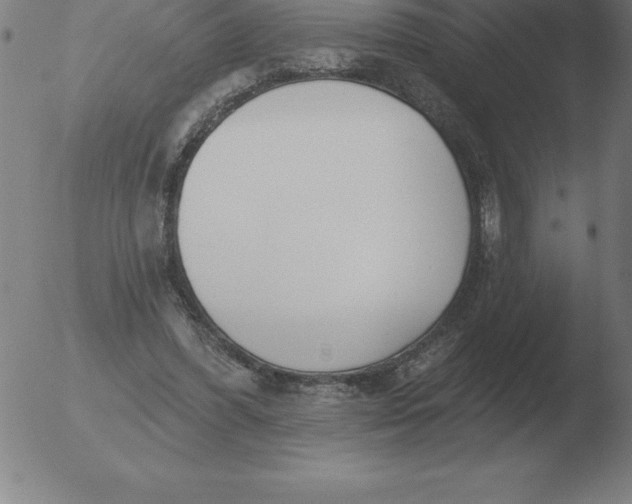 X0000051920396200507082100