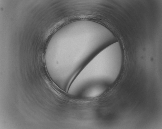 X0000051920397200507082100