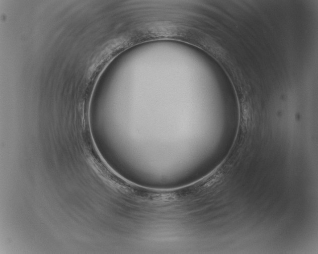 X0000051920398200507082100