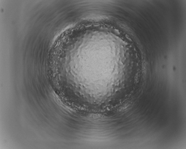 X0000051920399200507082100