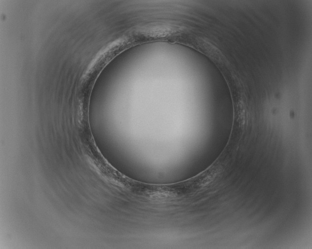 X0000051920400200507082100