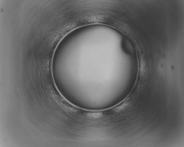 X0000051920402200507082100