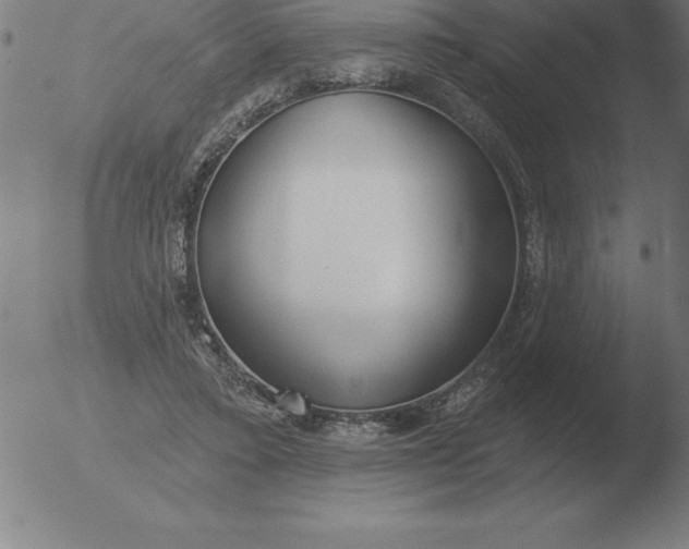 X0000051920403200507082100