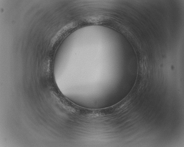 X0000051920404200507082100