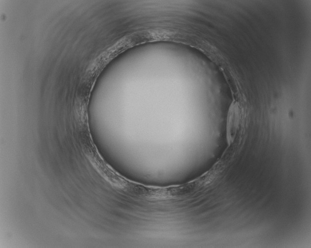 X0000051920405200507082100