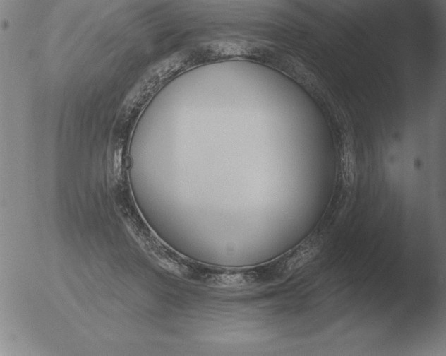 X0000051920406200507082100