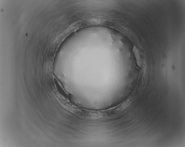 X0000051920409200507082100