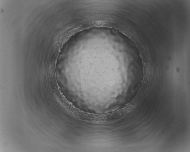 X0000051920410200507082100