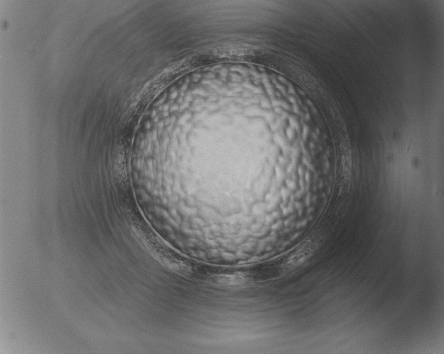 X0000051920411200507082100