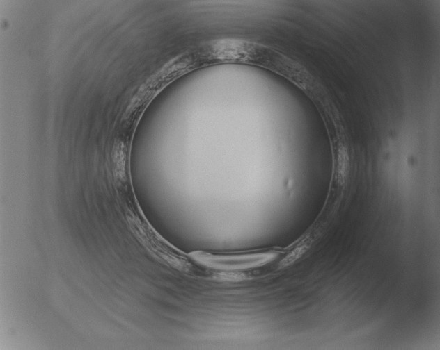 X0000051920413200507082100