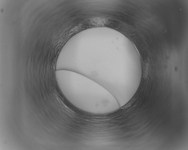 X0000051920414200507082100