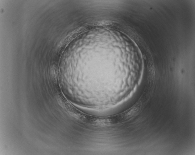 X0000051920415200507082100