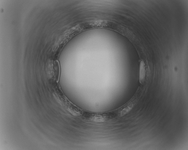 X0000051920416200507082100