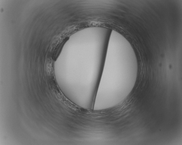 X0000051920417200507082100