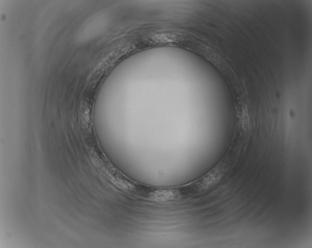 X0000051920418200507082100