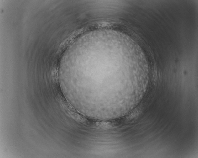 X0000051920419200507082100