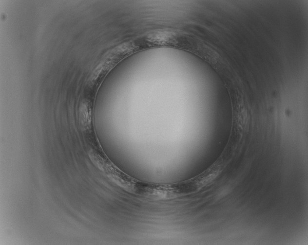 X0000051920420200507082100