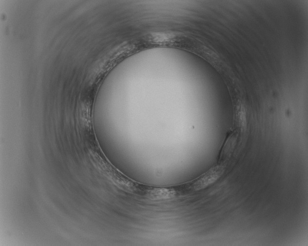 X0000051920421200507082100